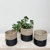 Seagrass Basket SMALL Blk & Natural