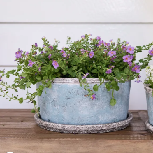 Sea Blue Rustic Planter & Saucer / LOW